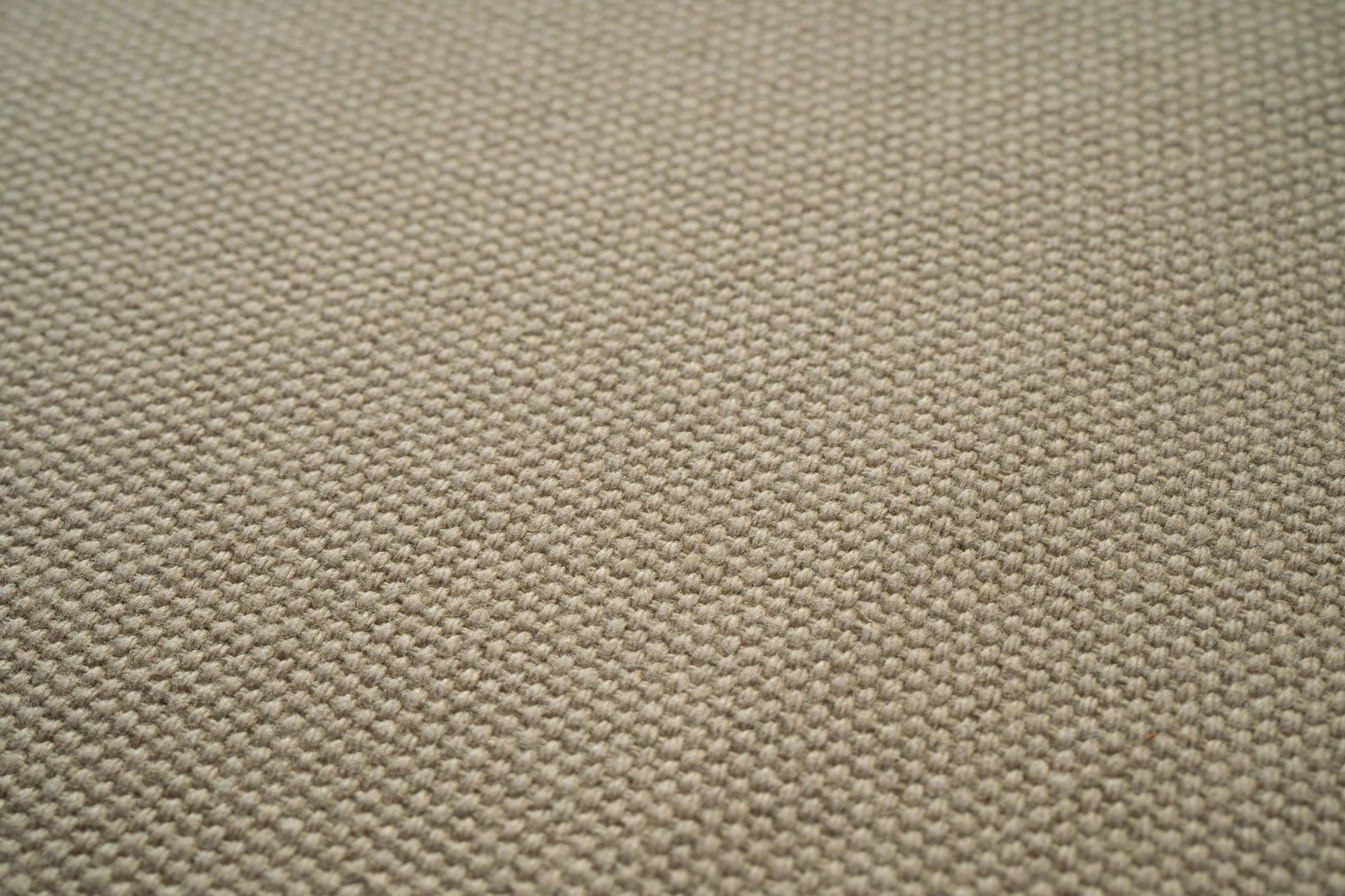 Wildling Shoes Marder Frühling / Sommer 7 Wildling Shoes Marder Frühling / Sommer