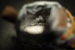 Wildling Shoes B_Eden 13 Wildling Shoes B_Eden