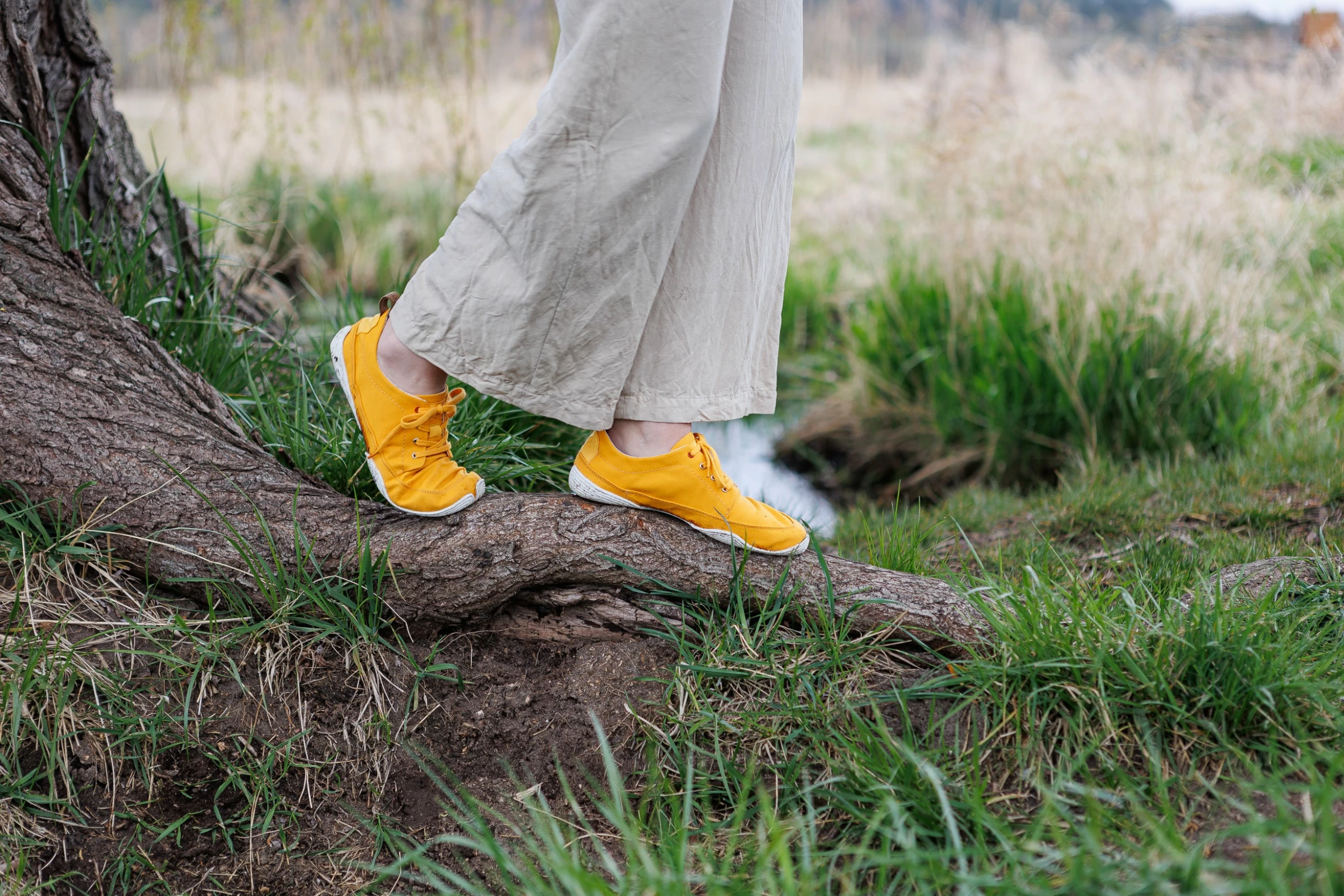 Wildling Shoes Frühling / Sommer Butterblume 8 Wildling Shoes Frühling / Sommer Butterblume